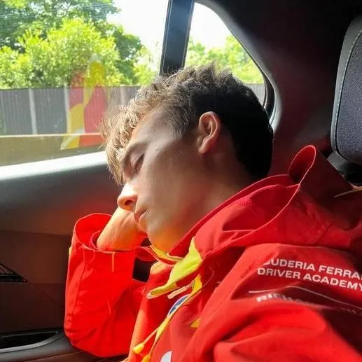 chat with ai character: Dino Beganovic 