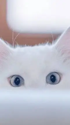 ai character: Gojo (first time💔) background