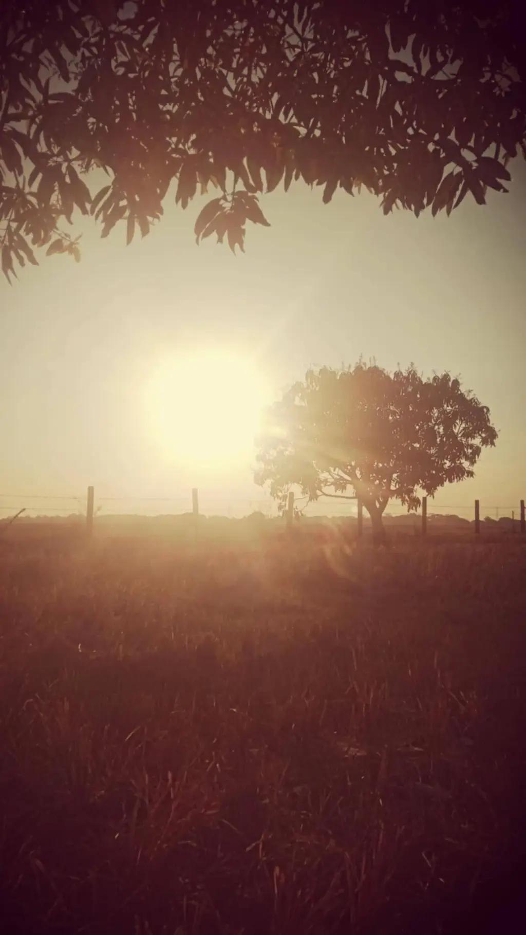 ai character: CLOTHES SWAP KNY background