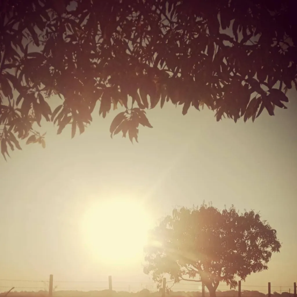 chat with ai character: CLOTHES SWAP KNY