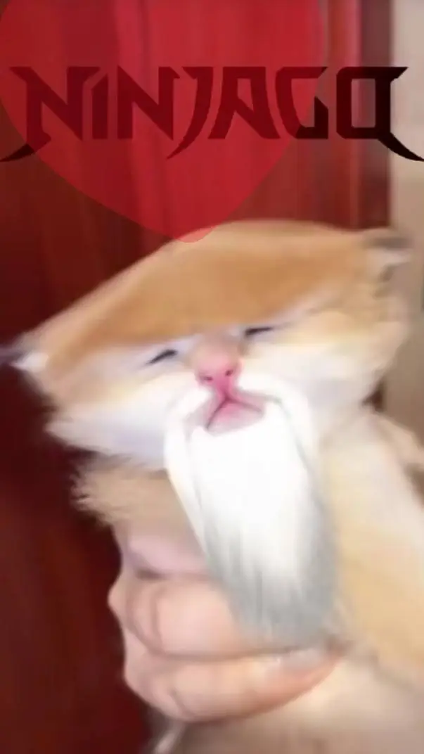 ai character: Sensei Wu's cat background