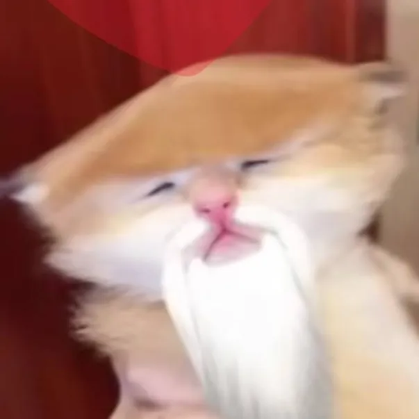 chat with ai character: Sensei Wu's cat
