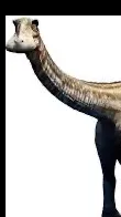 ai character: nigersaurus background