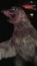 ai character: WEIRD BIRDS background