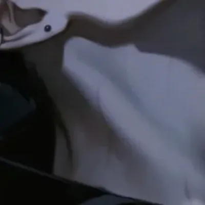 chat with ai character: |~^Ąłėx^~|