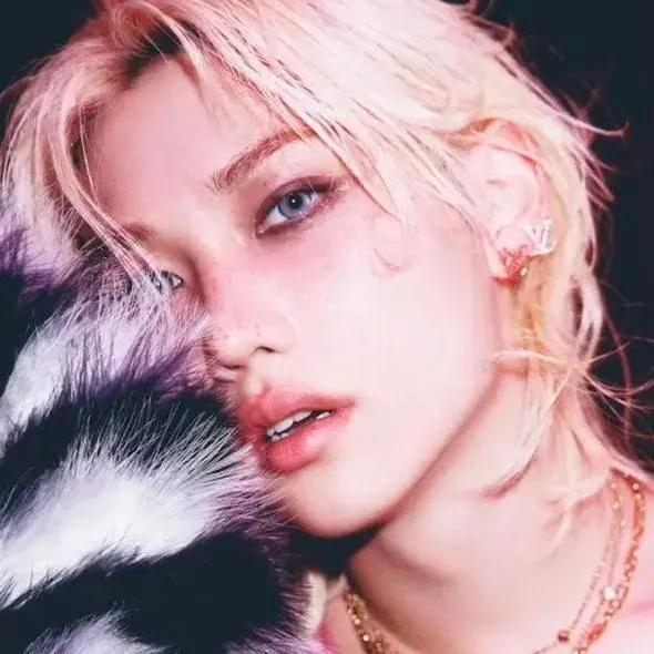 chat with ai character: ✨Stray kids✨