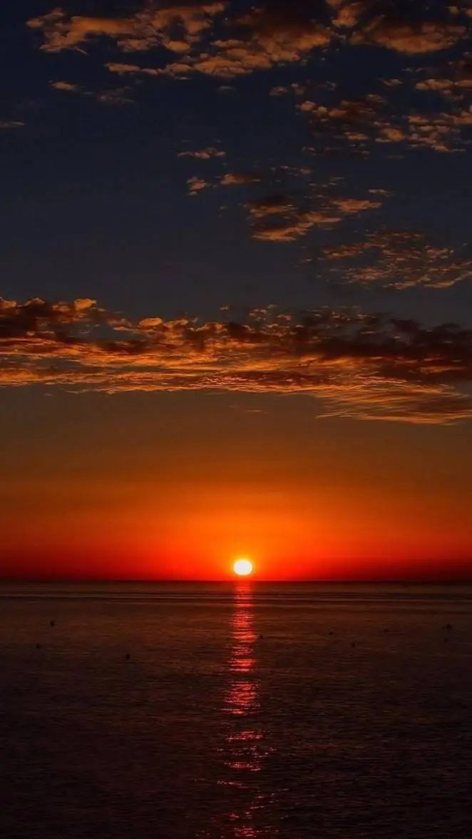 ai character: Atardecer  background