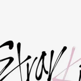 chat with ai character: Stray kids 💗