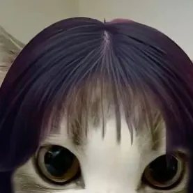 chat with ai character: Squid game 