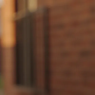 chat with ai character: Maybe a red bucket