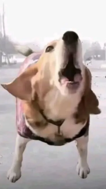 ai character: “AUWW” background