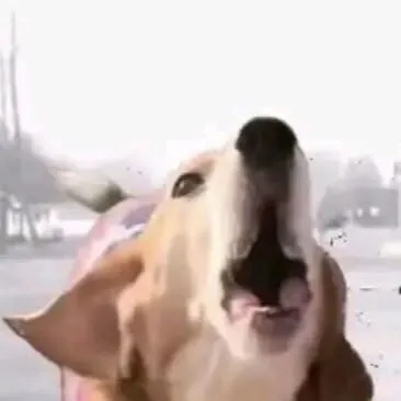 chat with ai character: “AUWW”