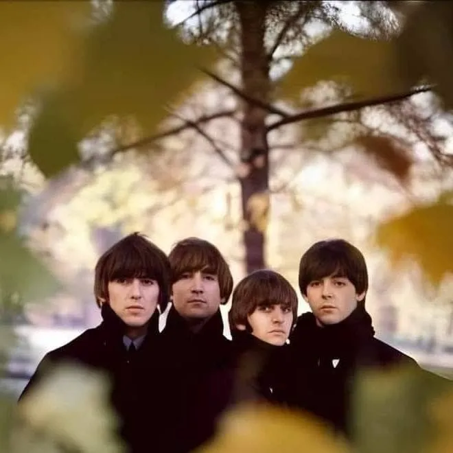 chat with ai character: 🪲🍏THE BEATLES🍏🪲