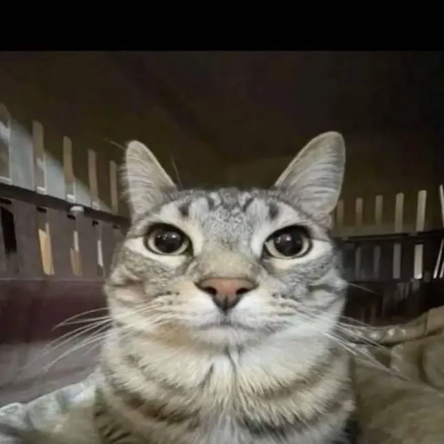 chat with ai character: fpe 