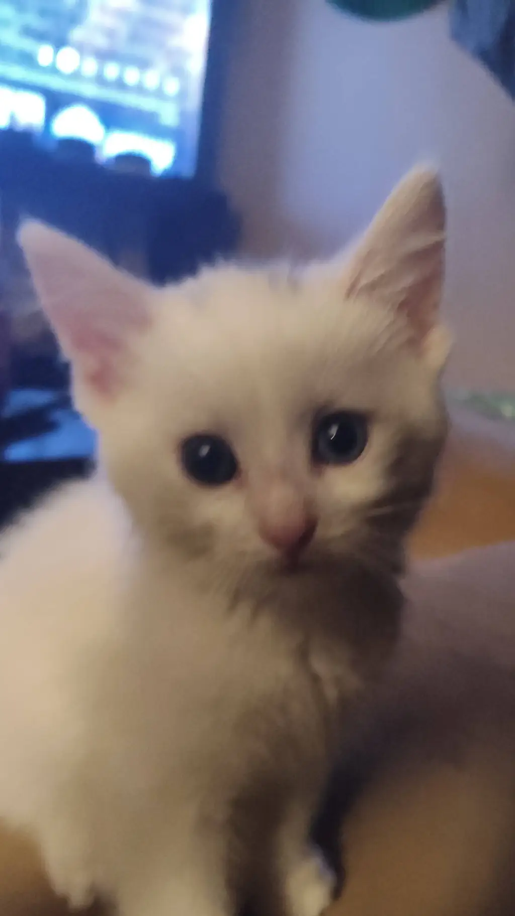 ai character: milk D background