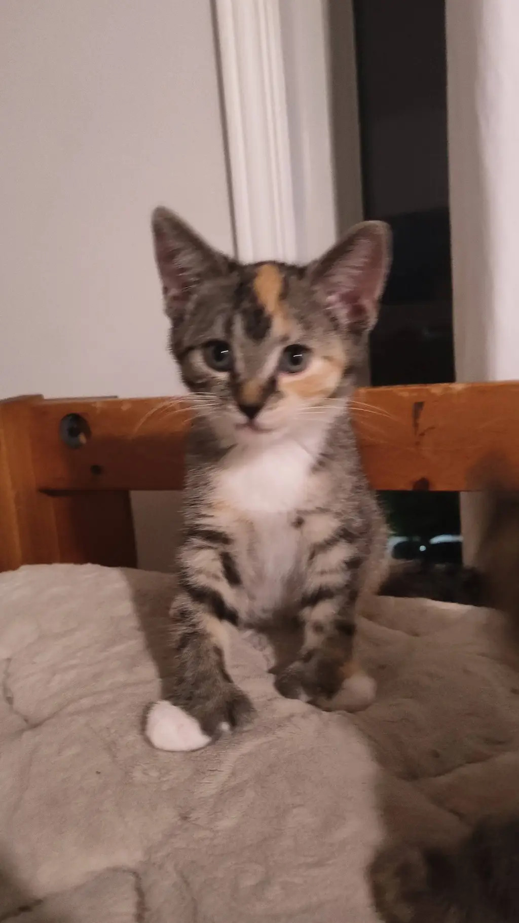 ai character: hhhhbhhhhhhhhhhhhh background