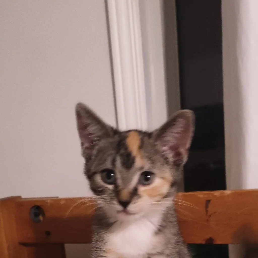 chat with ai character: hhhhbhhhhhhhhhhhhh