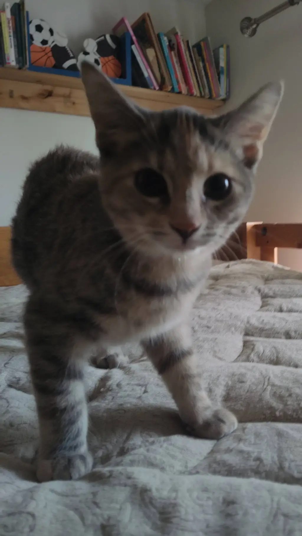 ai character: silly background