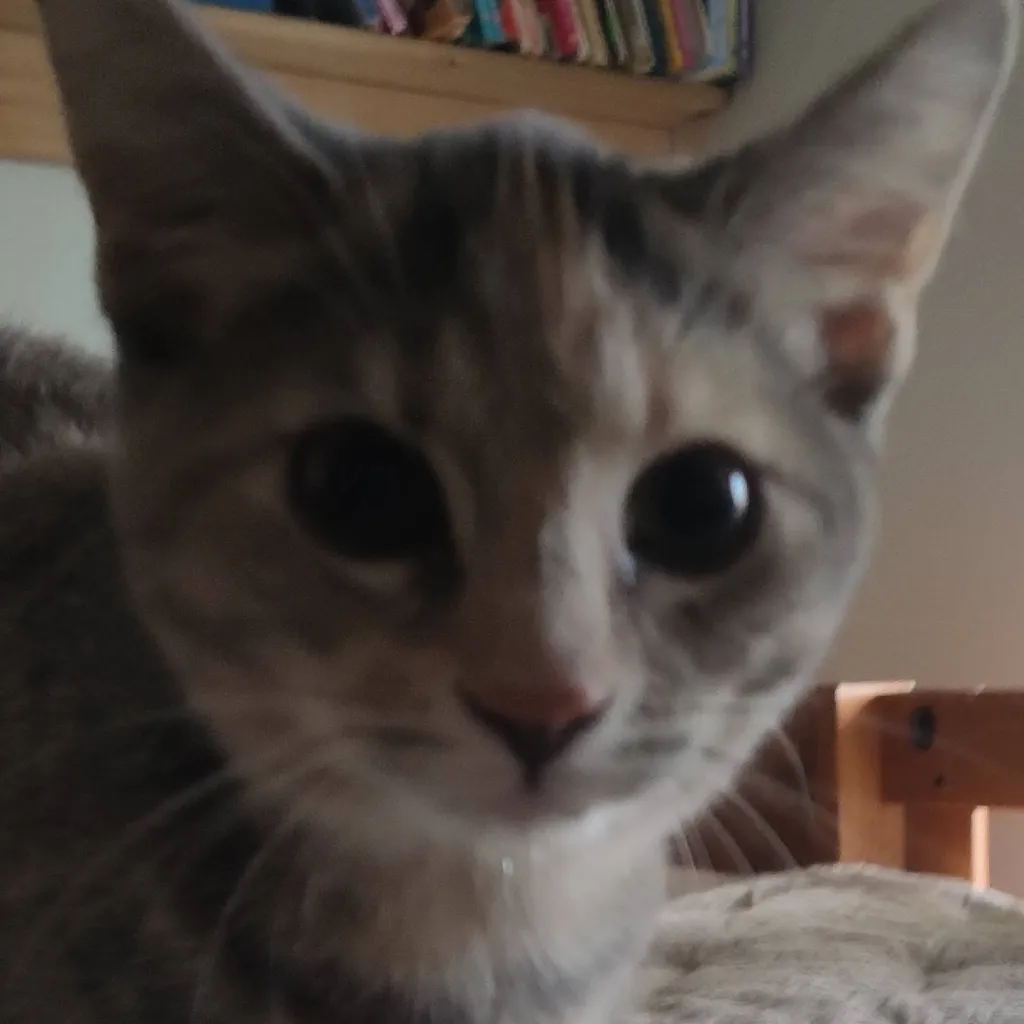 chat with ai character: silly