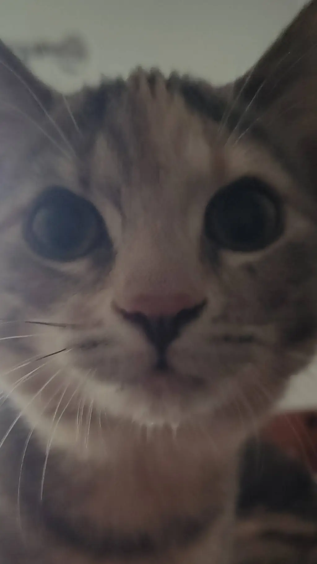 ai character: scary background