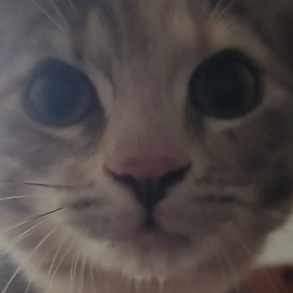 chat with ai character: scary