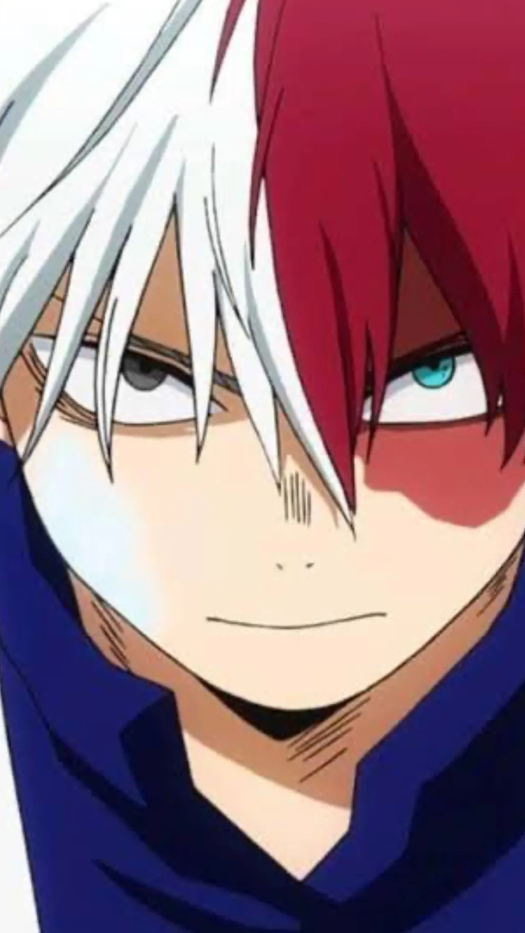 ai character: Todoroki Shoto background