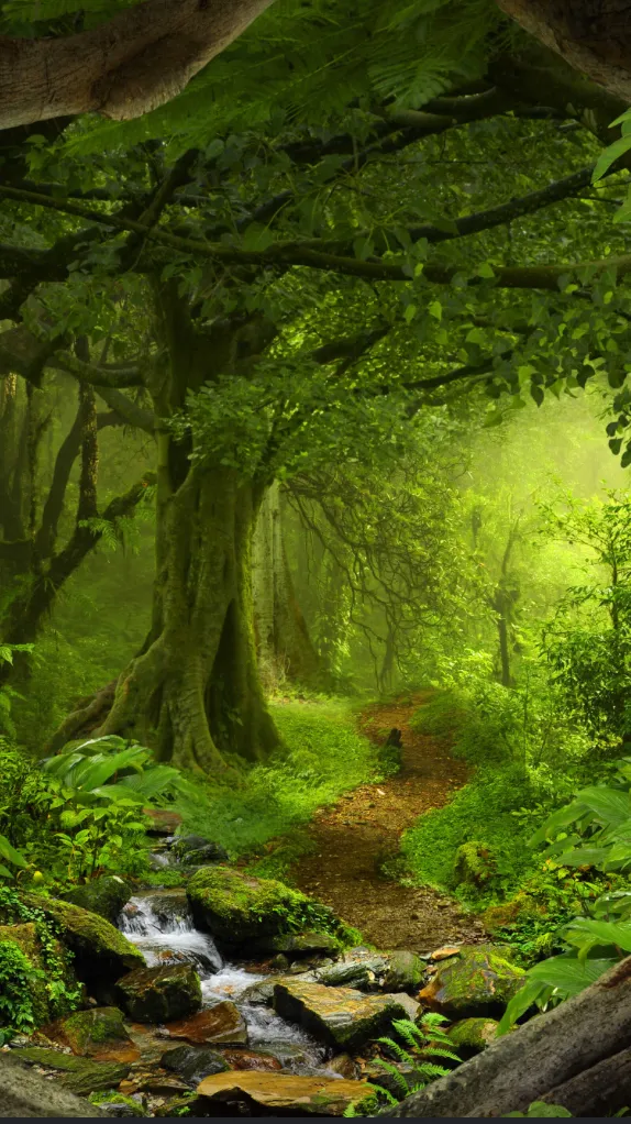 ai character: Forest background