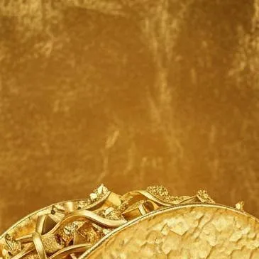 chat with ai character: golden taco