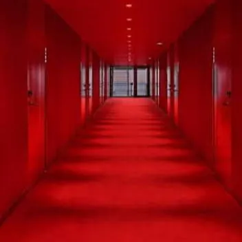chat with ai character: red hallways