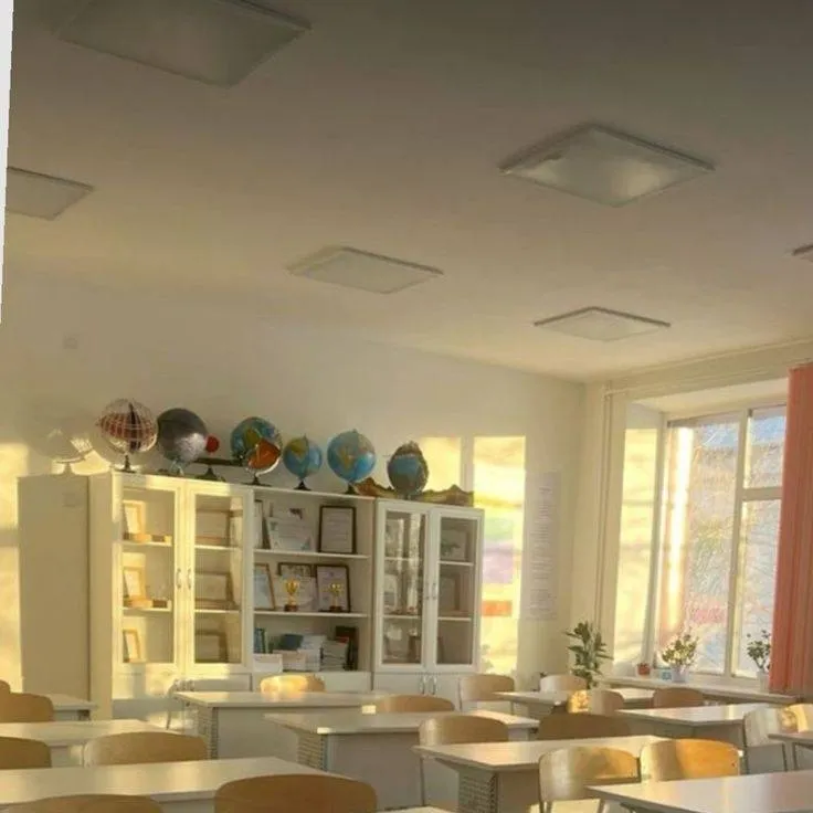 chat with ai character: Hsrxgenshin school