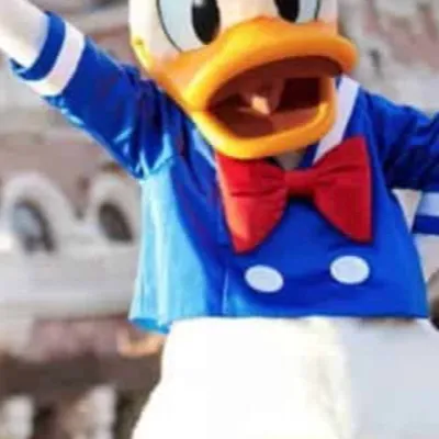 chat with ai character: Donald Duck 