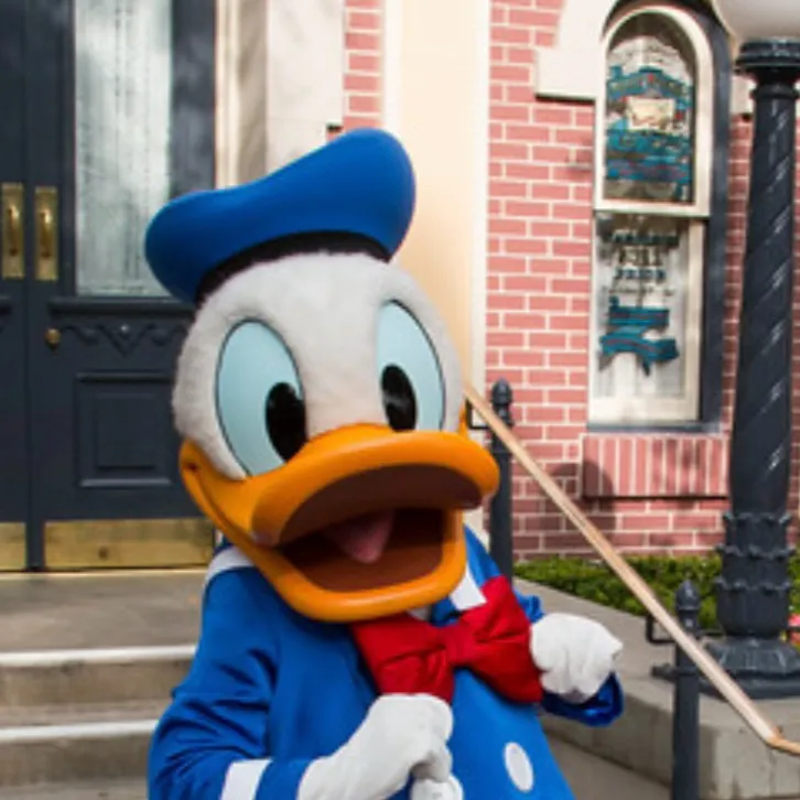 chat with ai character: Donald und Daisy 