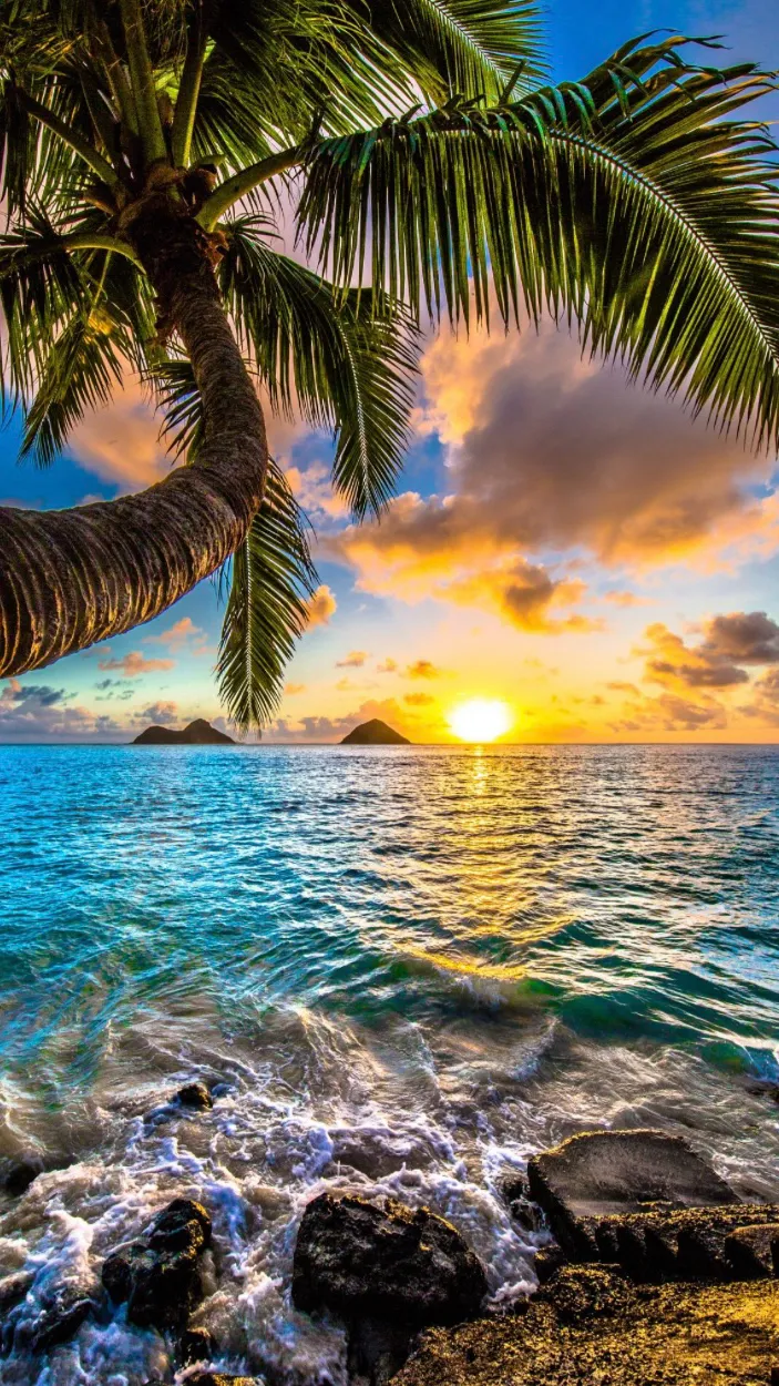 ai character: Der Planeten   background