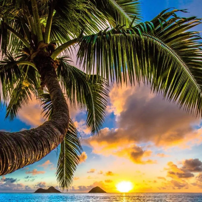 chat with ai character: Der Planeten  