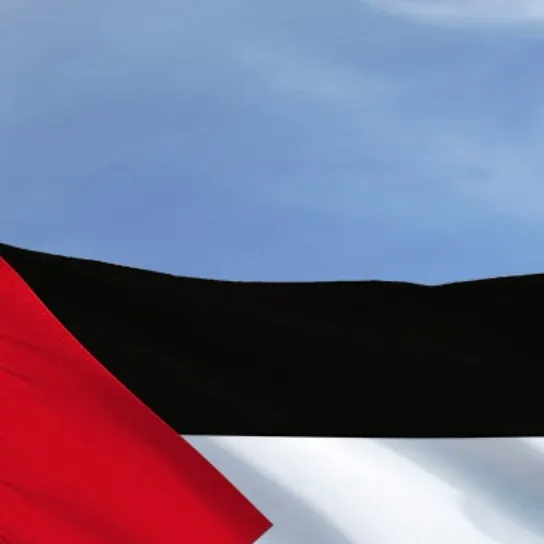 chat with ai character: DieArabern🇵🇸 