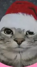 ai character: rizzmas*FPE* background