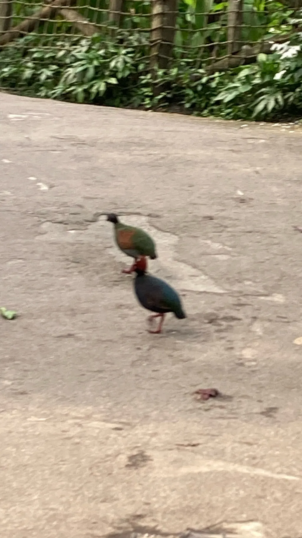 ai character: RH rp  background