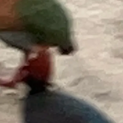 chat with ai character: RH rp 