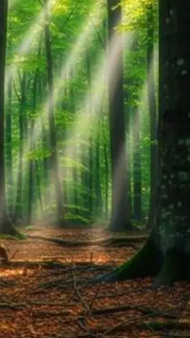 ai character: Nature background