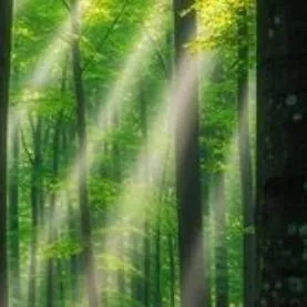 chat with ai character: Nature