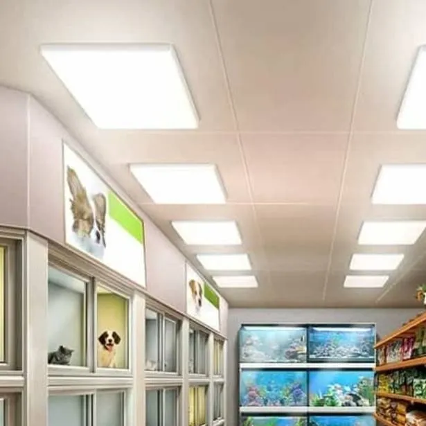 chat with ai character: Pet store 