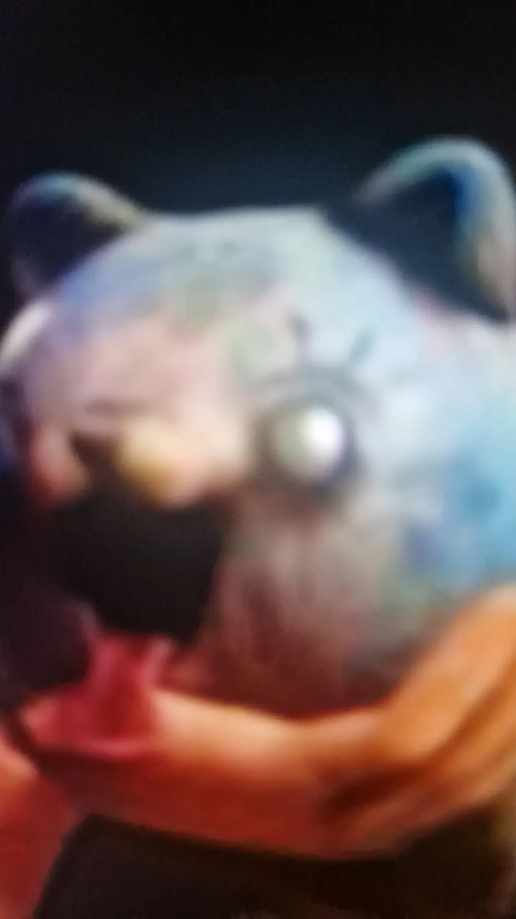 ai character: candy cat background