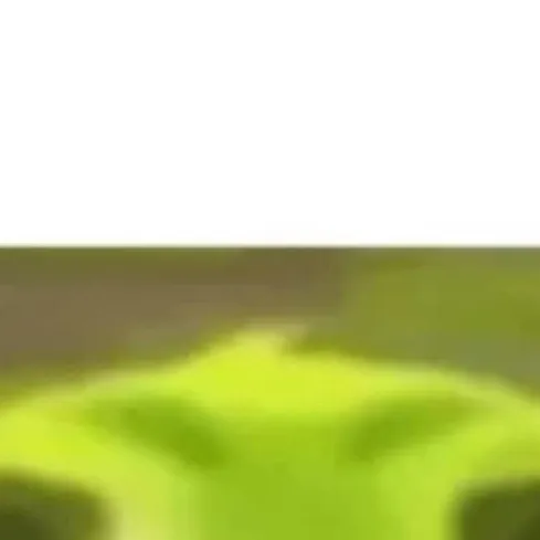 chat with ai character: Angry Peashooter