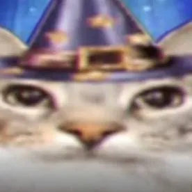 chat with ai character: kitty 