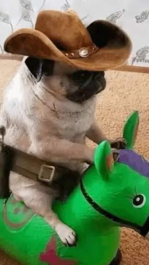 ai character: Human school 2 background