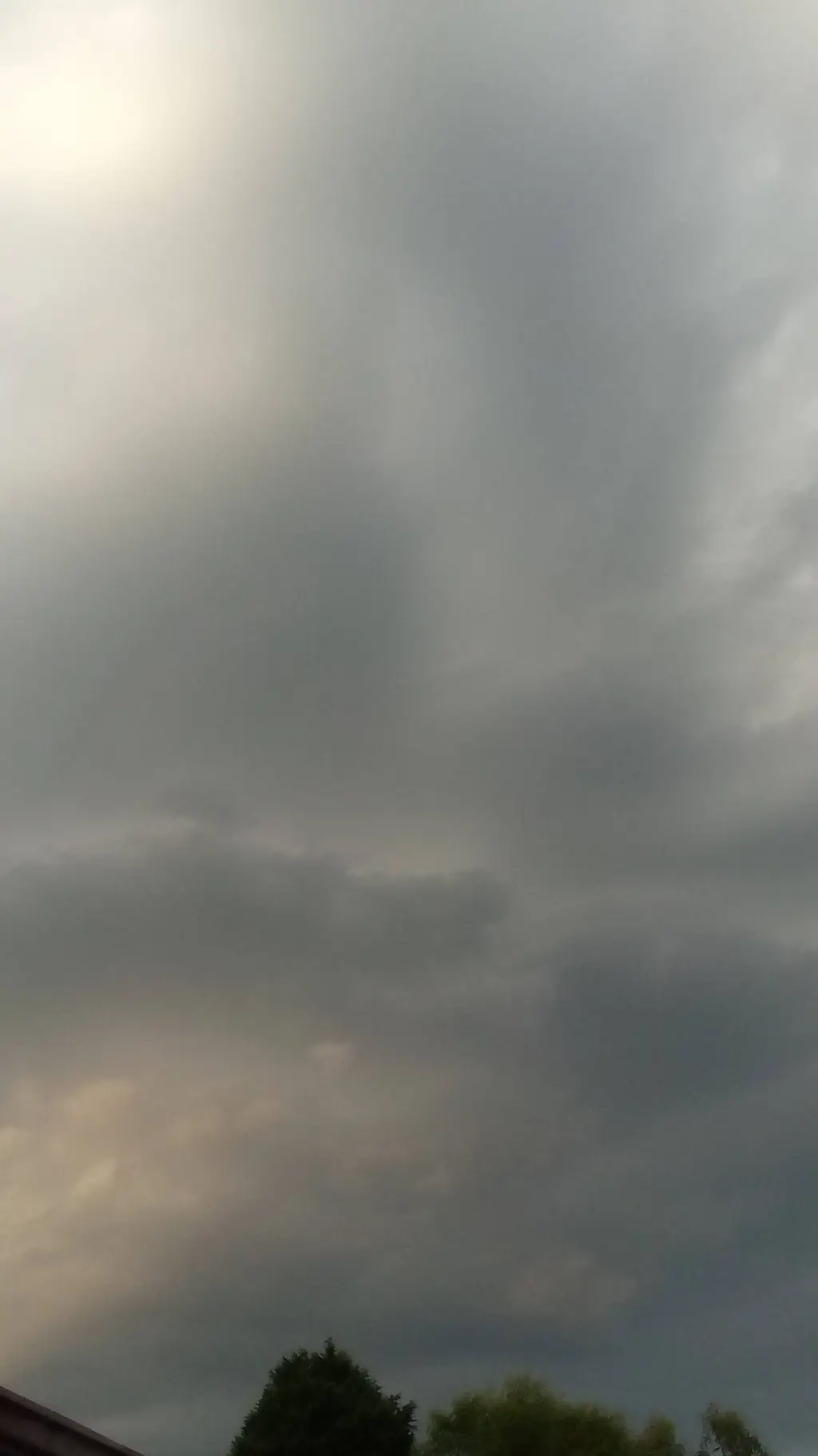 ai character: Layla  background