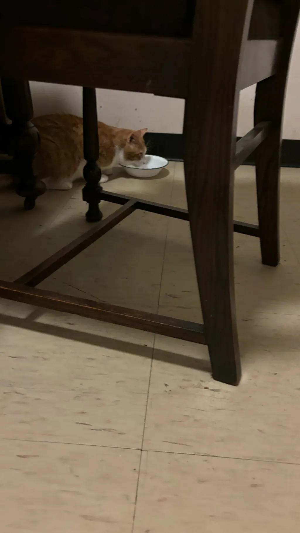 ai character: Milo background