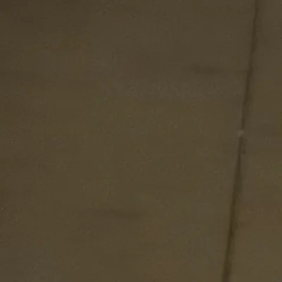 chat with ai character: Milo