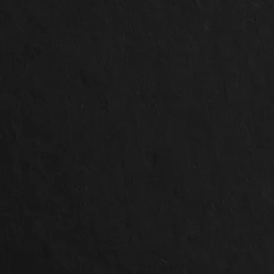 chat with ai character: Black