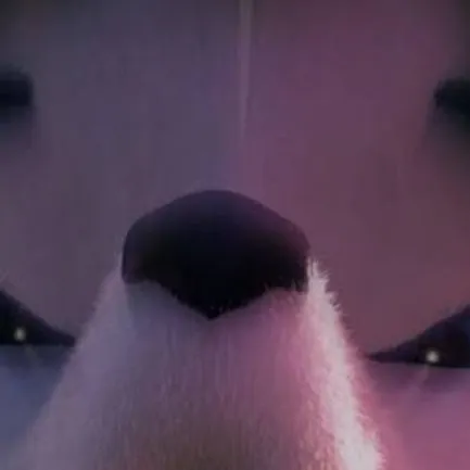 chat with ai character: zoe